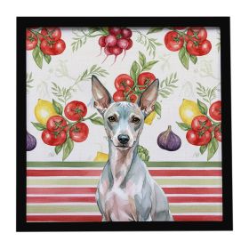 American Hairless Terrier Vegetables Framed Metal Print Bathroom, Kitchen, Office, Home Decor Wall Art Ready to Hang, Square, 8X8