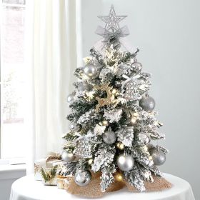 22in Mini Christmas Tree with Lights, Gold Artificial Small Tabletop Christmas Tree with Flocked Snow (Color: Silver)